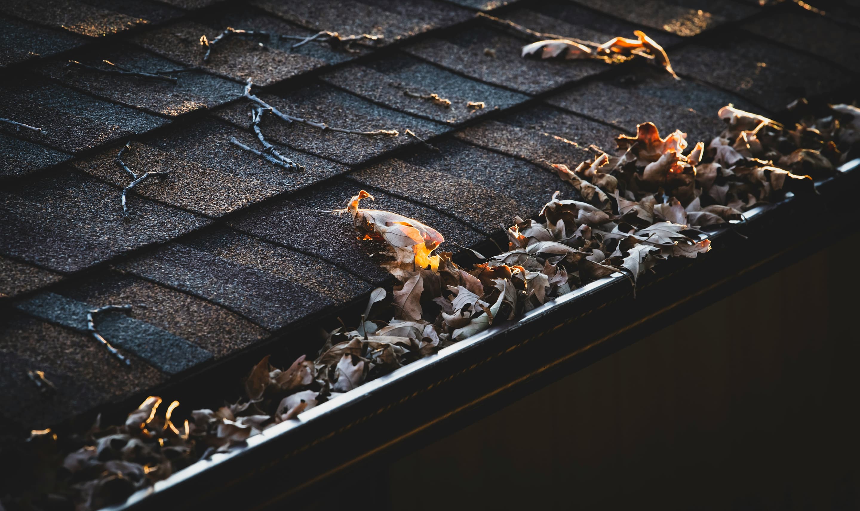 Gutter cleaning service