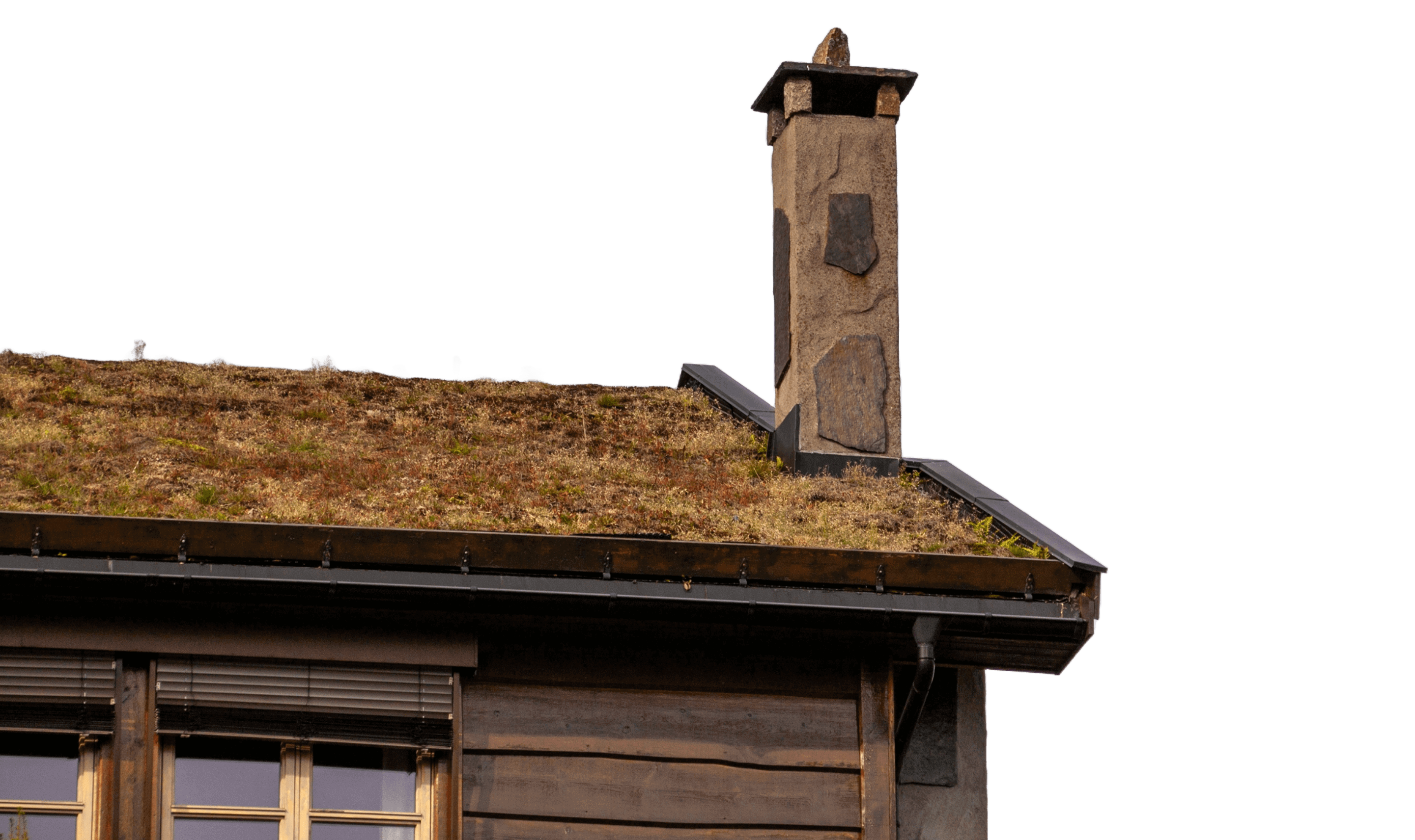 Roof cleaning service